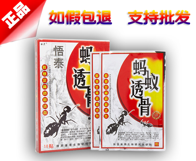 蚂蚁透骨贴图片说明